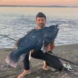 D'altronde a quelle latitudini � comune trovare specie cos� grosse: tra le immagini spicca per esempio la �blue groper�, la cernia australiana di colore azzurro intenso